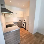 Rent 1 bedroom apartment in Capital City of Prague