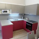 Rent 2 bedroom apartment of 43 m² in Prague