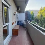 Rent 3 bedroom apartment of 91 m² in Roma