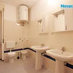 Rent 3 bedroom apartment of 70 m² in Novara