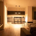 Rent 6 bedroom apartment of 300 m² in Piacenza