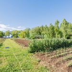 Single family villa via Settevene Est, Trevignano Romano