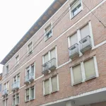 Rent 5 bedroom apartment in Bologna