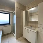 Rent 1 bedroom apartment in Tervuren