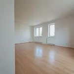 Rent 1 bedroom apartment in Beroun