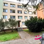 Rent 1 bedroom apartment in Teplice