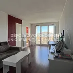 Rent 2 bedroom apartment of 42 m² in Toulouse