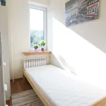 Rent a room in lodz