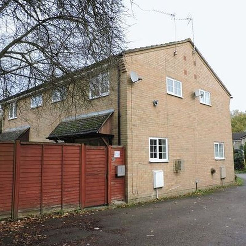 Terraced house to rent in Larchwood, Chineham, Basingstoke RG24 Oakridge