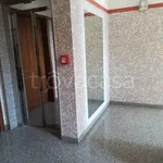 Rent 4 bedroom apartment of 100 m² in Chieti