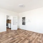 Rent 2 bedroom apartment of 45 m² in Capital City of Prague