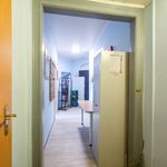 Miete 1 Schlafzimmer wohnung von 35 m² in Dresden