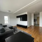 Rent 1 bedroom apartment of 33 m² in Szczecin