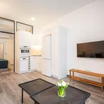 Rent 1 bedroom apartment of 39 m² in Valencia