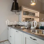 Rent 1 bedroom apartment of 55 m² in Pisa