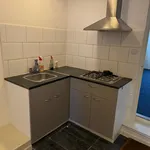 Huur 2 slaapkamer appartement van 40 m² in Leeuwarden