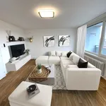 Rent 3 bedroom apartment in Vsetín