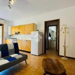 Rent 2 bedroom apartment of 74 m² in Casola Valsenio