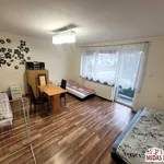 Rent 1 bedroom house of 260 m² in Włocławek