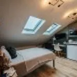 Rent 1 bedroom apartment in Coventry