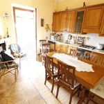 Rent 5 bedroom apartment of 105 m² in Lucca