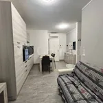 2-room flat via dei Larici 1, Ponserico, Cretarossa, Nettuno