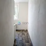 Rent 1 bedroom apartment of 36 m² in Ostrava