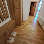 Rent 1 bedroom house in České Budějovice