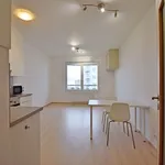 Rent 1 bedroom apartment of 30 m² in Capital City of Prague