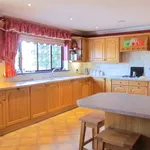 Rent 4 bedroom house in South East England