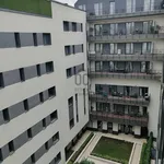 Rent 2 bedroom apartment of 47 m² in Budapest