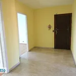 Rent 3 bedroom apartment of 80 m² in Turin