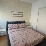 Rent 2 bedroom apartment of 50 m² in Milano