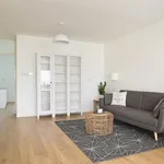 Rent 4 bedroom apartment of 100 m² in Buitenveldert-Oost