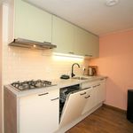 Rent 1 bedroom house of 62 m² in groningen