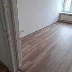 große 3 Zimmer Wohnung schöner Altbau