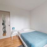 Rent 1 bedroom apartment of 11 m² in Strasbourg