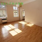 Rent 2 bedroom apartment of 42 m² in Pilsen