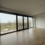 Rent 3 bedroom apartment of 135 m² in Bremen