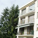 Rent 1 bedroom apartment in Metz