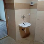 Rent 2 bedroom apartment in Olomouc