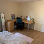 Rent 4 bedroom house in Worcester