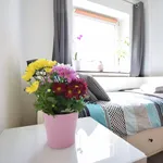 Miete 3 Schlafzimmer wohnung von 12 m² in Hürth