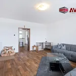 Rent 2 bedroom apartment of 66 m² in Opava