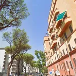 Rent 1 bedroom apartment of 30 m² in Roma