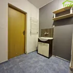 Rent 2 bedroom apartment of 37 m² in Grudziądz