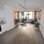 Rent 3 bedroom apartment of 106 m² in Binnenstad