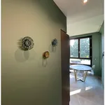 Rent 2 bedroom apartment of 60 m² in Torino