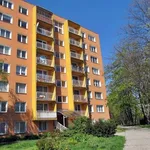 Rent 2 bedroom apartment in Ostrava