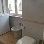 Rent 1 bedroom apartment in Rome